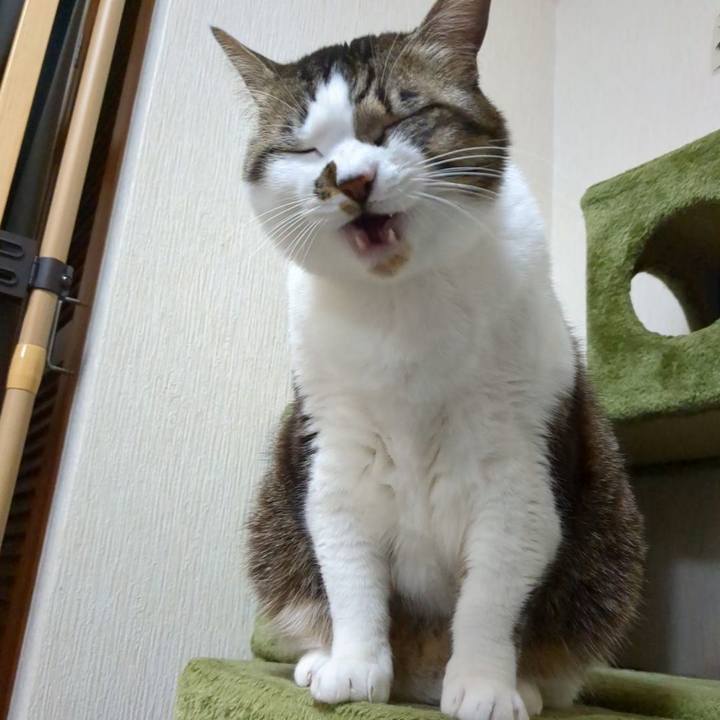 Db0fd05e 3954 4ca8 a451 a7330ad322f4 1710231496173