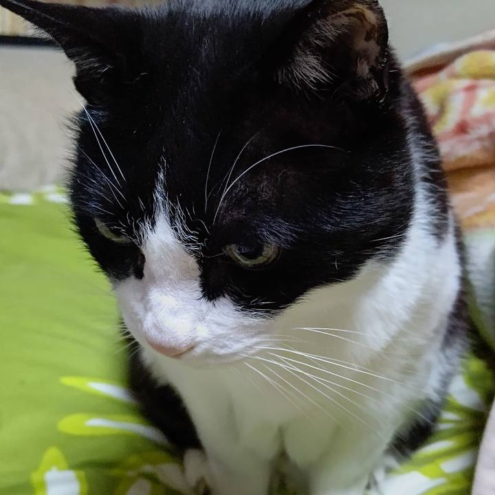 Db0fd87e 0092 42d7 ae17 a5e5587ccd8d 1649193574976