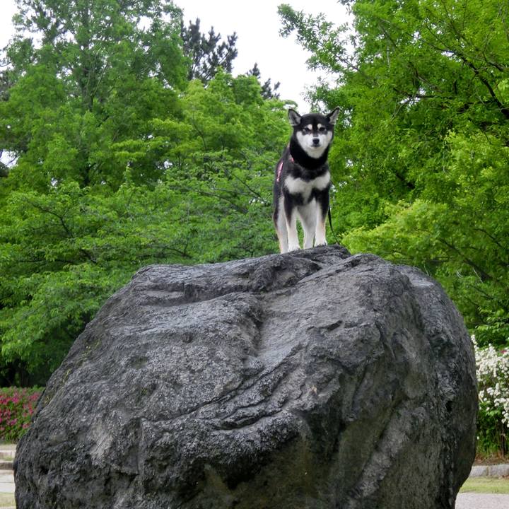 Db0fed59 7460 4bdf adae 06daa7f9cf9a 1528159620201