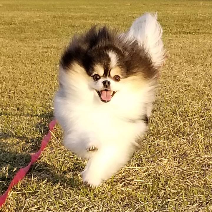 Db0ff890 d426 41dc 82a7 a85998d61888 1667135445576