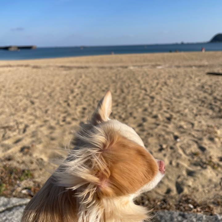 Db0ff8bd 5320 45be b64c b5d9e944d58f 1673410058121