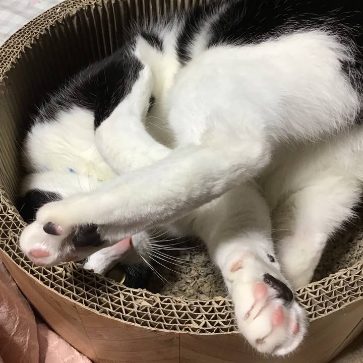 Db103069 6304 4862 8e0e 15f31564d8a0 1701604669620