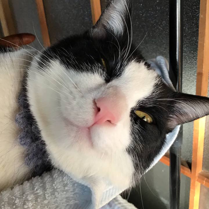 Db103b46 791e 4db9 92f2 d2f9f69344d2 1643325499878