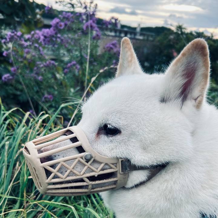 Db103ce6 5115 4814 b9c4 fc03709b6013 1726877775182