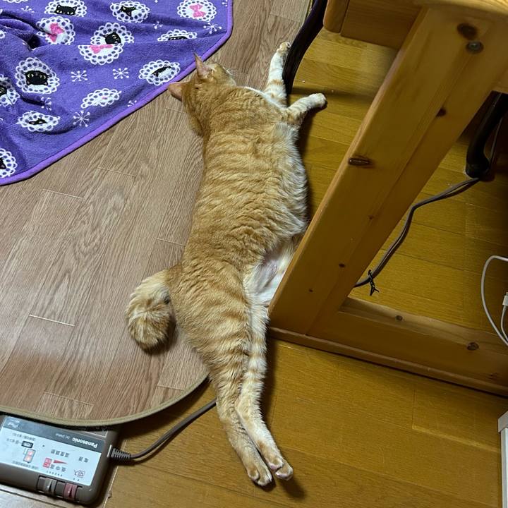 Db10556f 98b9 4655 bdff d5121823d821 1685016083709