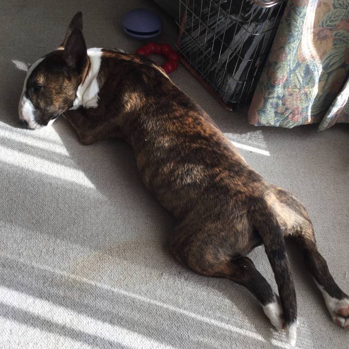 Db105609 ec73 4d96 bd52 f92238ab2c4f 1553154778821