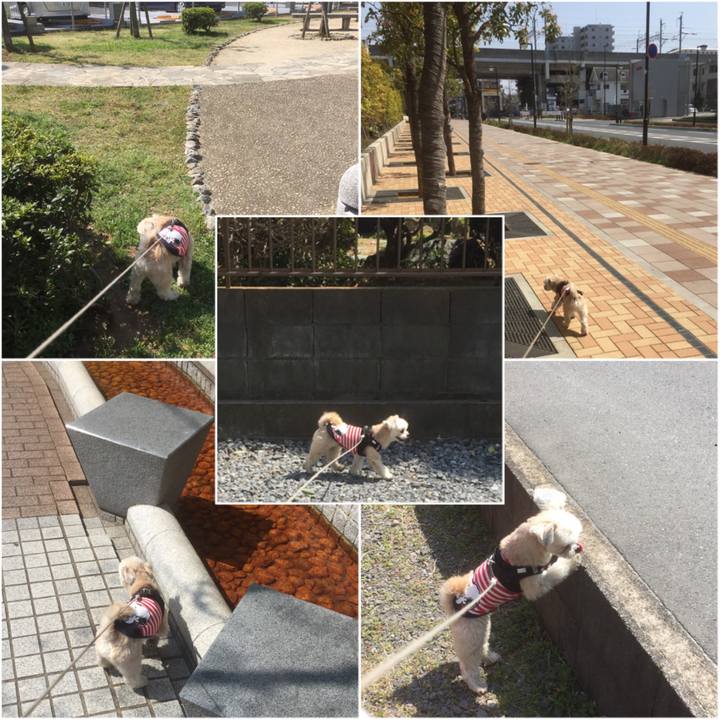 Db106986 76a3 42f8 bd33 978697047315 1554548065795