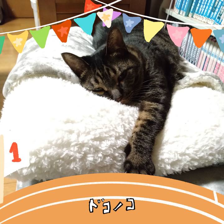 Db1082bc 7ccb 4bfc 958c 2d7a3cb5b3c9 1762610147095