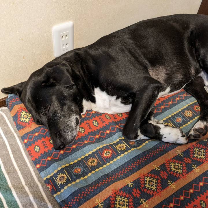 Db109bc8 2d1b 4db2 a2d8 2ae0decdd2ef 1714612672751