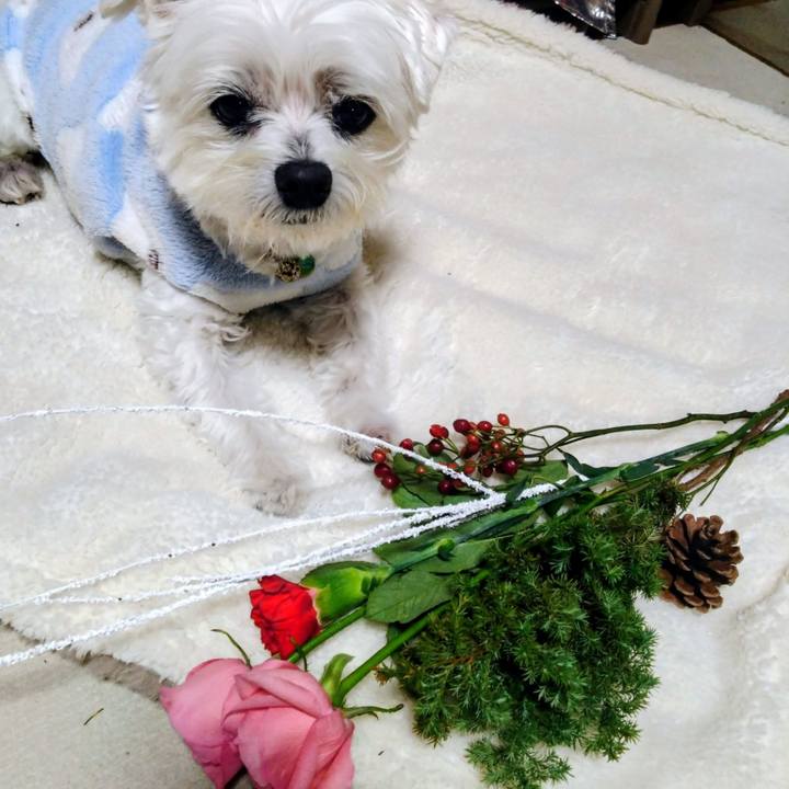 Db10d385 d270 4563 bb1e 0f7c56983596 1764070163706