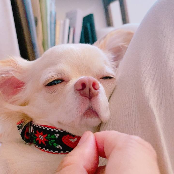 Db10fdf0 27d0 4647 b369 7b9ee58e1c74 1627466773584