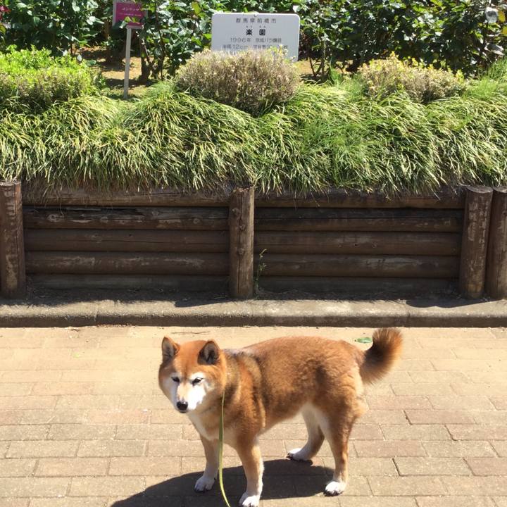 Db111ed9 5476 44ce 9888 524c9a239bf6 1619158945510