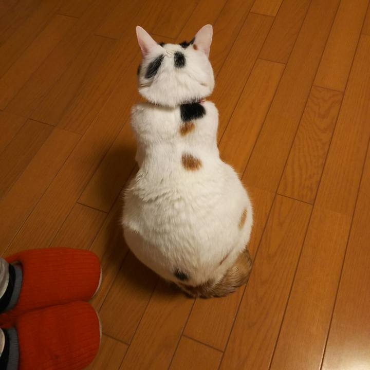 Db11392d ea28 4e11 b478 f7a31b713117 1554045428669