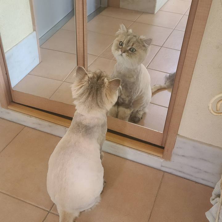 Db115286 3b69 40a7 b6f2 724070a41ee4 1654580672757