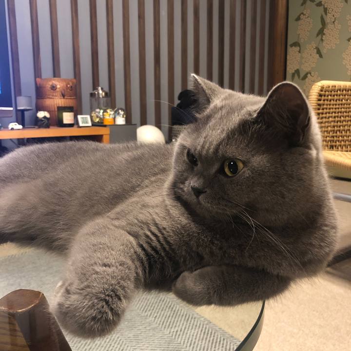 Db11548a 25c1 4480 af2c e6ca7d33327b 1570800551307