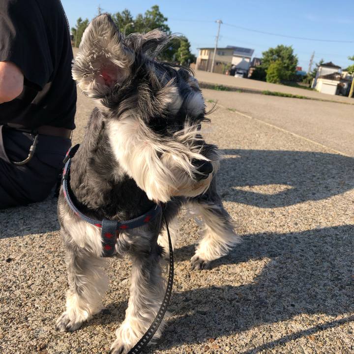 Db11616e 4dac 480d a597 929057bff3af 1653739888015