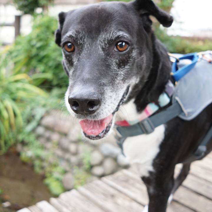 Db11b96c b5c2 4930 802b b330bc517328 1761699642148