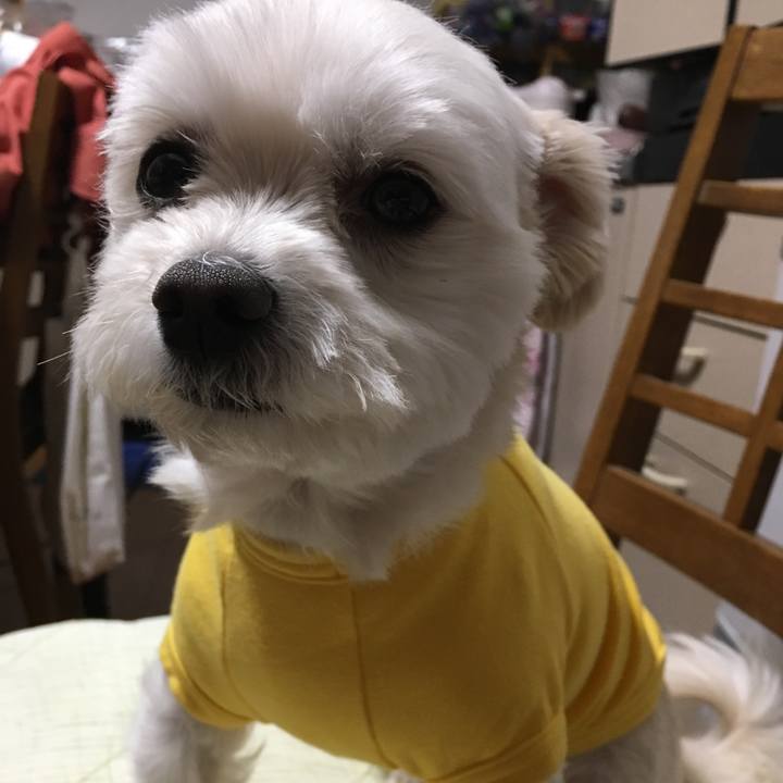 Db11bd88 f763 4ac5 b8d3 a2fe7e82249e 1548847044347