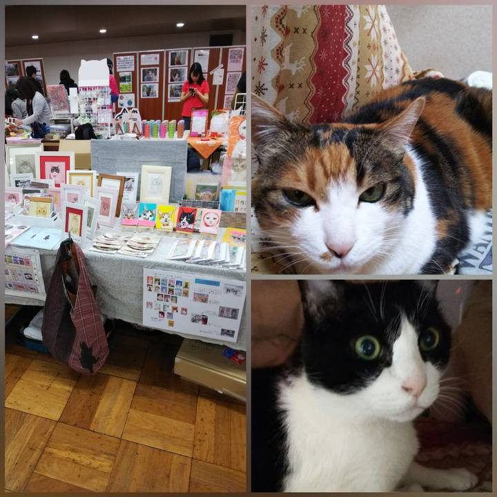 Db11c627 a00f 438f 8928 4aafe82b3bd8 1550973135732