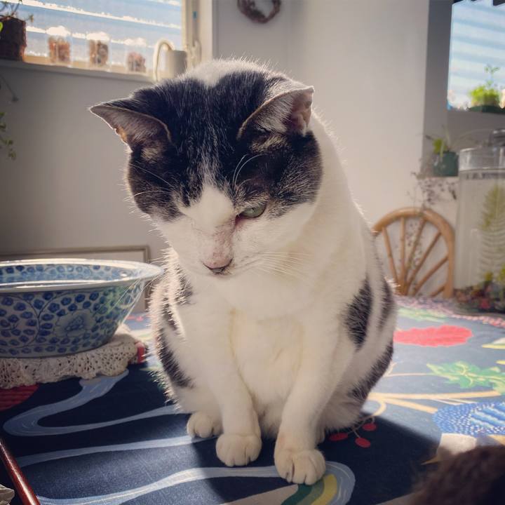 Db11f961 d5ca 4868 baf7 cc7a390e7d91 1577937208495