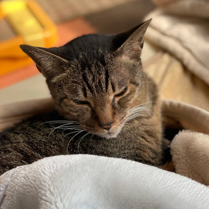 Db1209d1 7cf6 4090 9ce6 603a1c73e63f 1615686893091