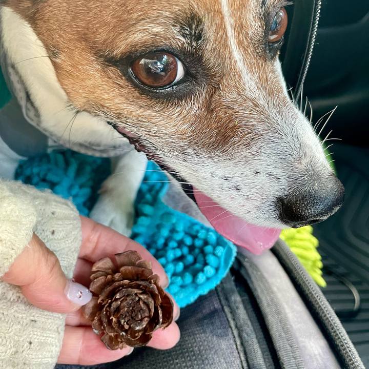 Db122a21 3d7b 455e a8e6 eafa474644ed 1750237314745