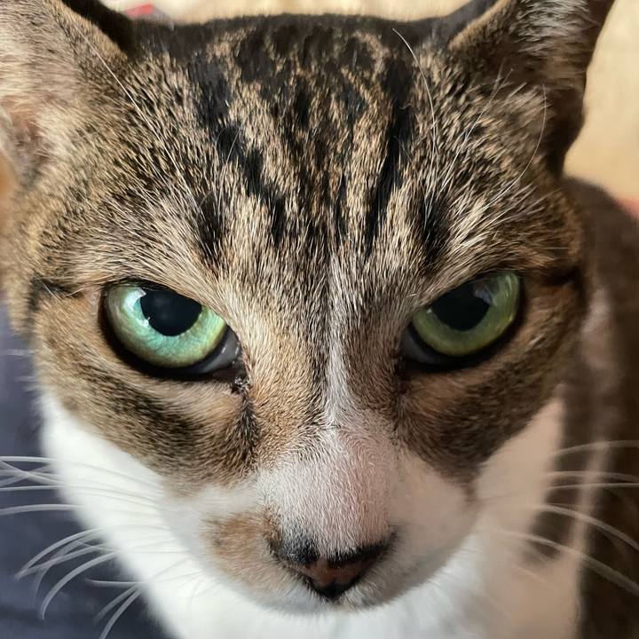 Db129830 9af8 4441 8273 3d0eb03412cf 1637977855760