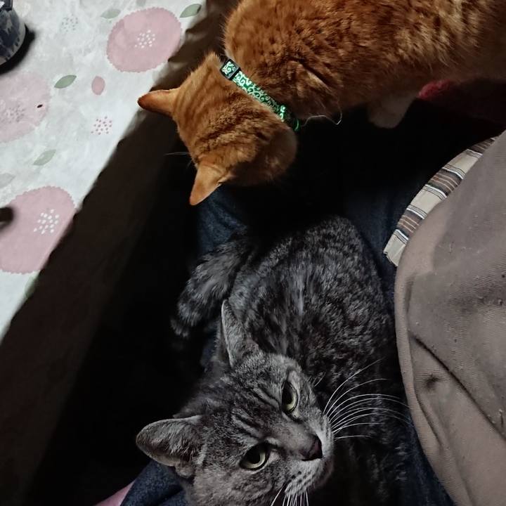 Db129fb8 c920 4861 8dbd 119f0722cf36 1581021859863