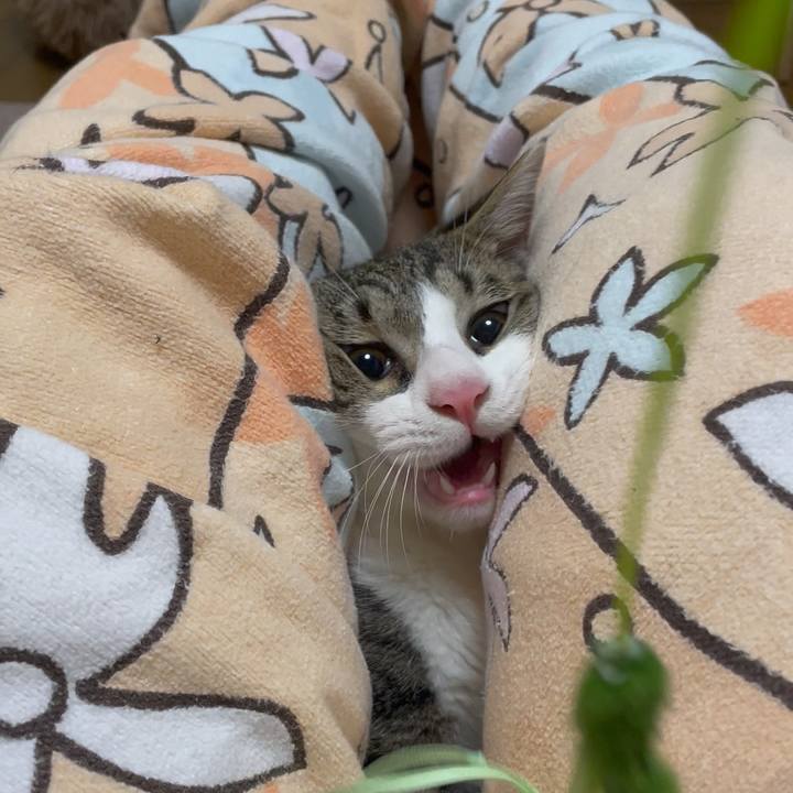 Db12f113 3bdf 48f7 919f dc2ceb9c18a9 1730440823771