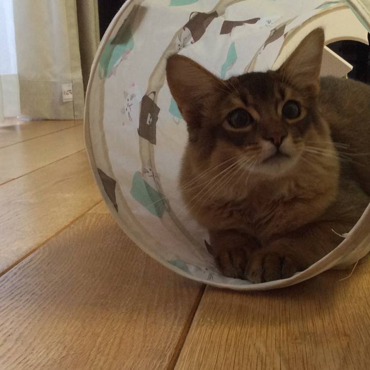 Db131648 4c88 43ea b51d 6f04370430f9 1576829193250