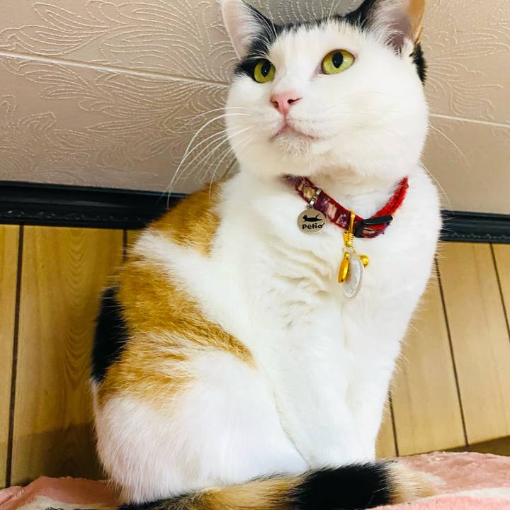 Db1316de 62ef 4a1f 8c75 dadbbe4bdffd 1708093942000