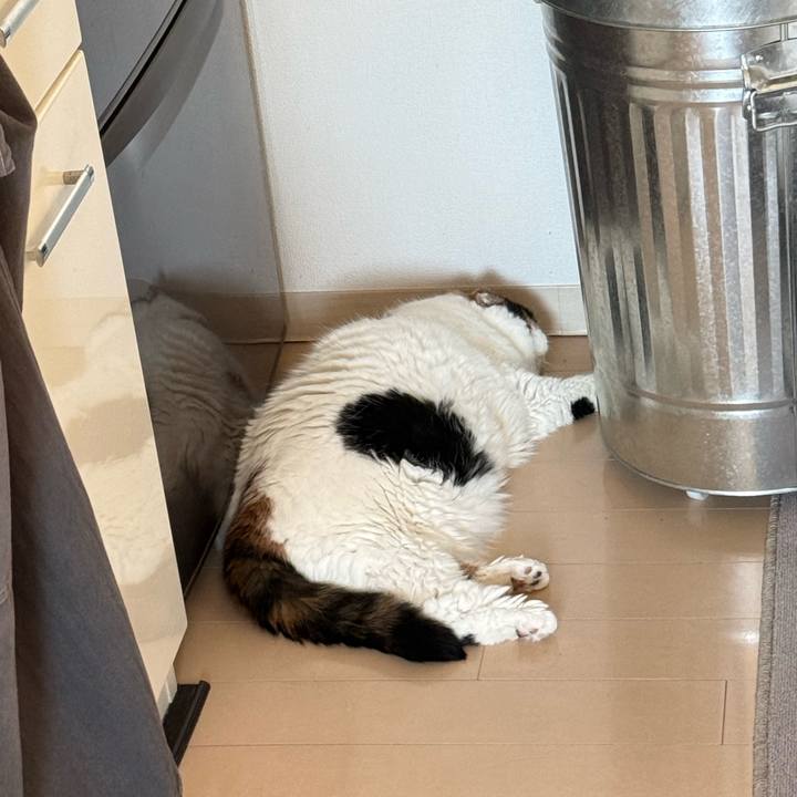 Db133d86 2a93 48cc 92df 62ad126fa579 1759204375046