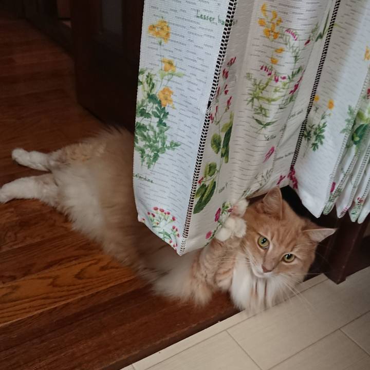 Db13524e 1181 4e3a aaf6 4d7417ef741b 1540519803338