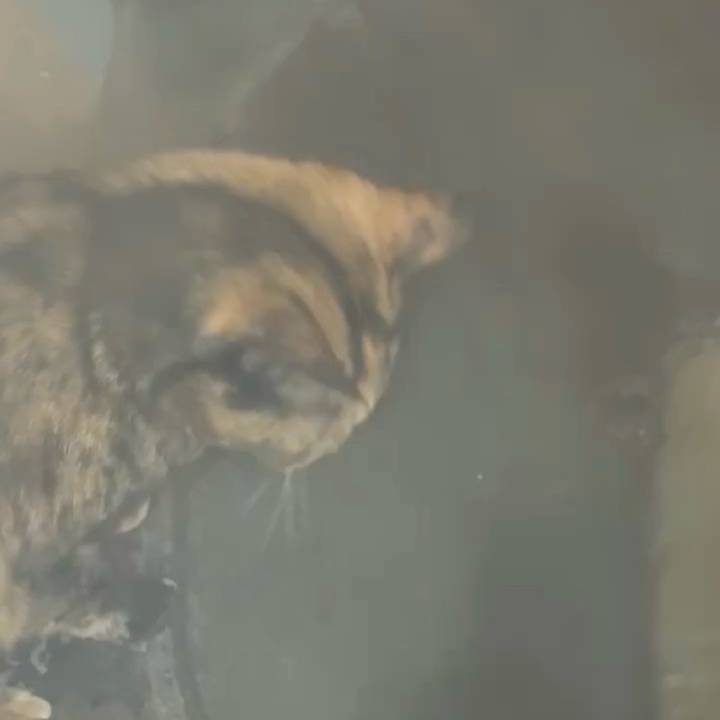 Db1354bf 378b 4c49 912d ca722a707426 1770755027161