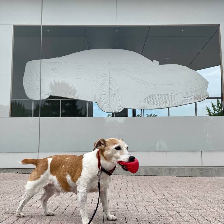 Db136e19 ab24 4c5a b542 ec62d6615e39 1687070263511