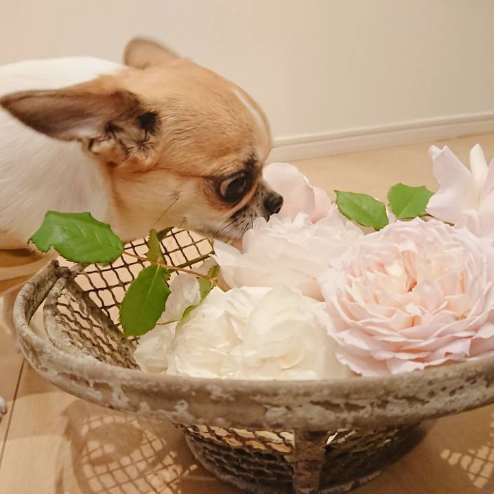 Db137f78 6e3e 4d63 9ac4 cf10d2e1de87 1590021484884