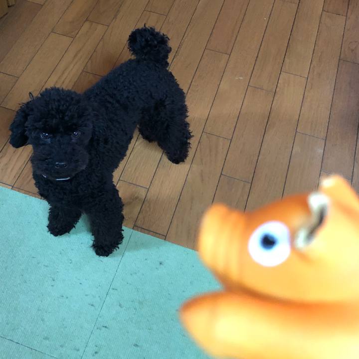 Db13841c 3e4e 4b0b 9ccf 94d34dd6c07c 1549577867291