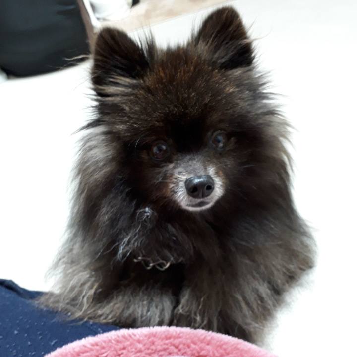 Db13beee dbc2 4f9a a163 620ac1c23fae 1518980300512