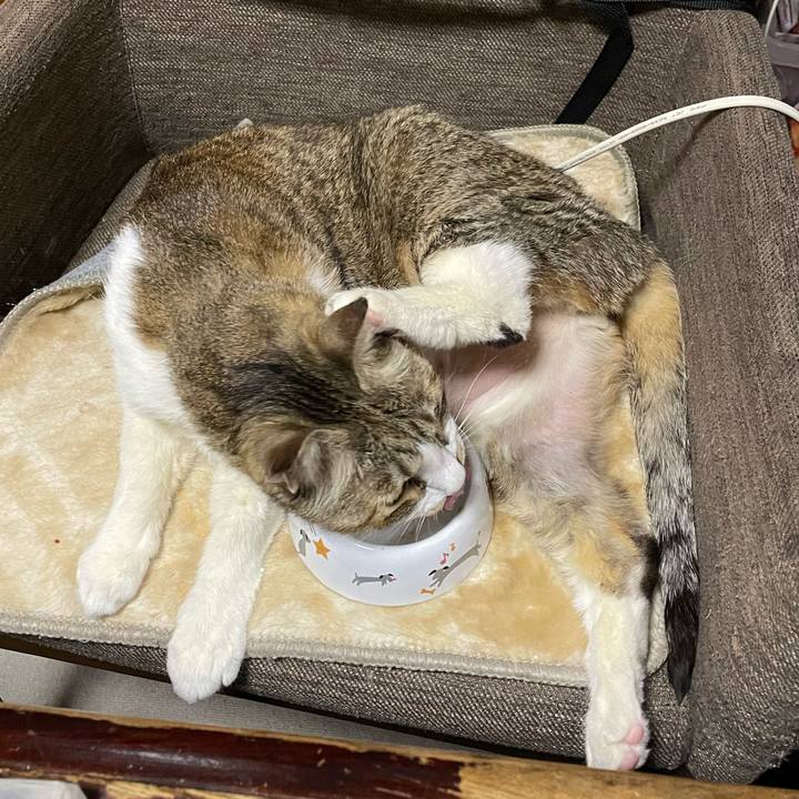 Db13d56f a612 45f6 ab9c 93af5a85b510 1771229939712