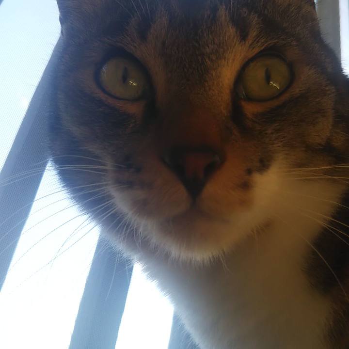 Db140f92 ca35 467b b68f 56e3527d35bd 1607137687131