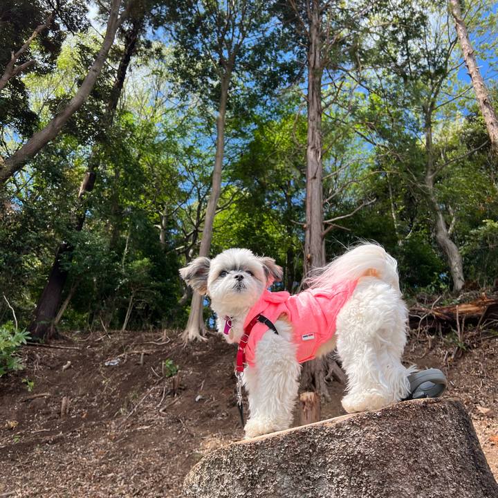 Db14287d 398d 4cdb a2d9 29dd15b8f62e 1650114753997