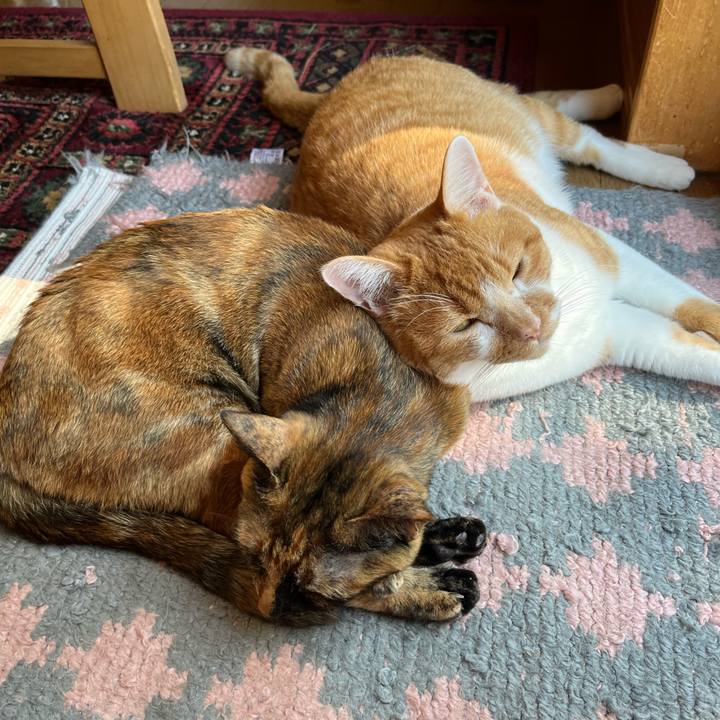 Db14444f 7c3d 4645 bdb4 2918349285b2 1694129864457