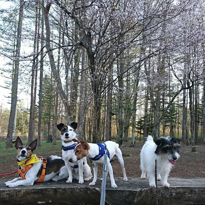 Db1448c1 0823 4335 b810 0fd130870e40 1524300117970