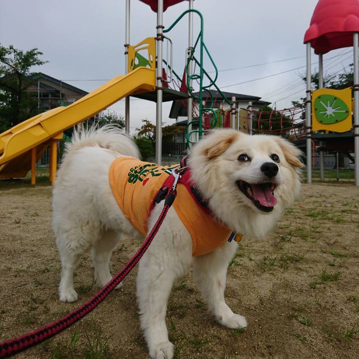 Db14735e 96c4 466d 9232 7a11c4371be6 1531605312247