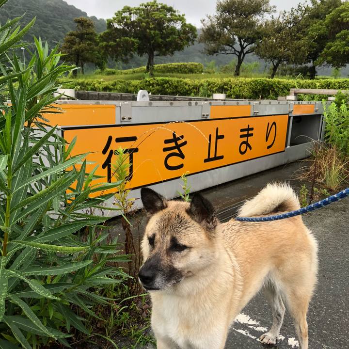 Db14f0f7 b137 4144 bc40 c7606d7b474d 1628938288094