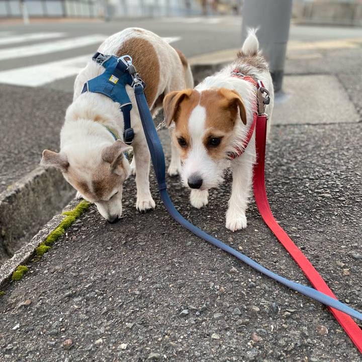 Db1513c4 454f 49ef acf4 6e7107b9b1b4 1675548551731