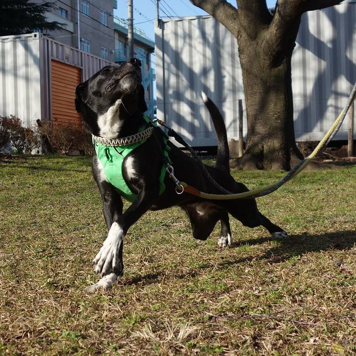 Db1526b0 98cf 482a 85cb c2f2adeaafb3 1581553366961