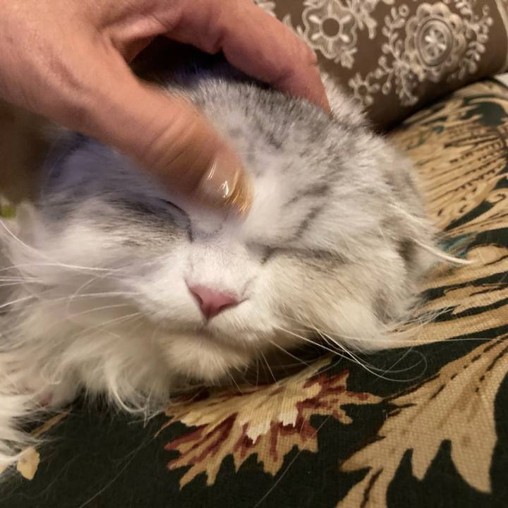 Db1558fd c262 4b35 b9d9 696a52dbb8c0 1635075418844