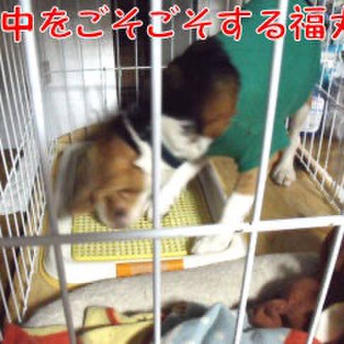 Db155e93 e9ed 4a9a 8dda 7b5869007cc0 1712536599270