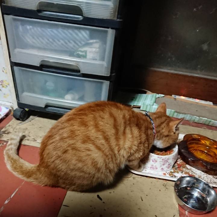 Db156007 7d1c 4905 96f8 7aae5c85575e 1571342284602